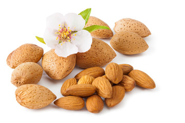 Almond Whith Flower