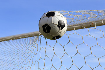 Soccer in the goal net
