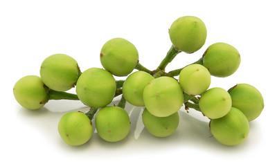 Pea Eggplants on white background