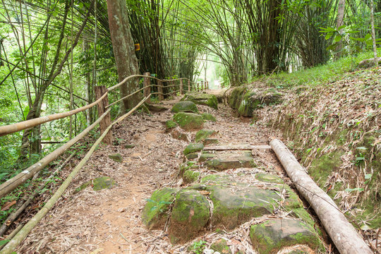 Walking Trail on a Mountain in Thailand