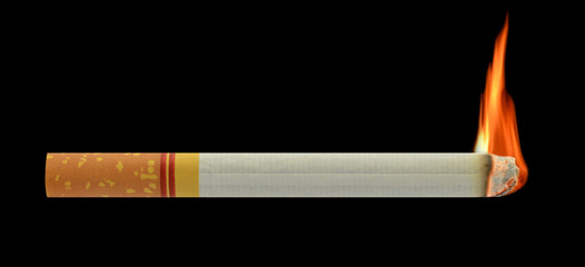 Realistic burning cigarette. Illustration on white background