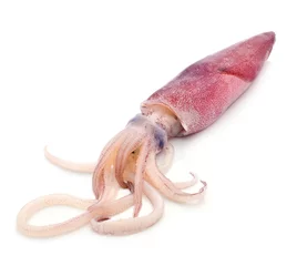 Gordijnen Fresh squid isolated on white background © amphaiwan