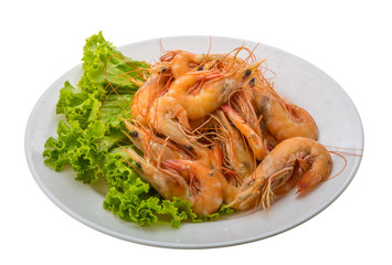 Big tiger shrimps