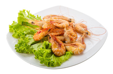 Big tiger shrimps
