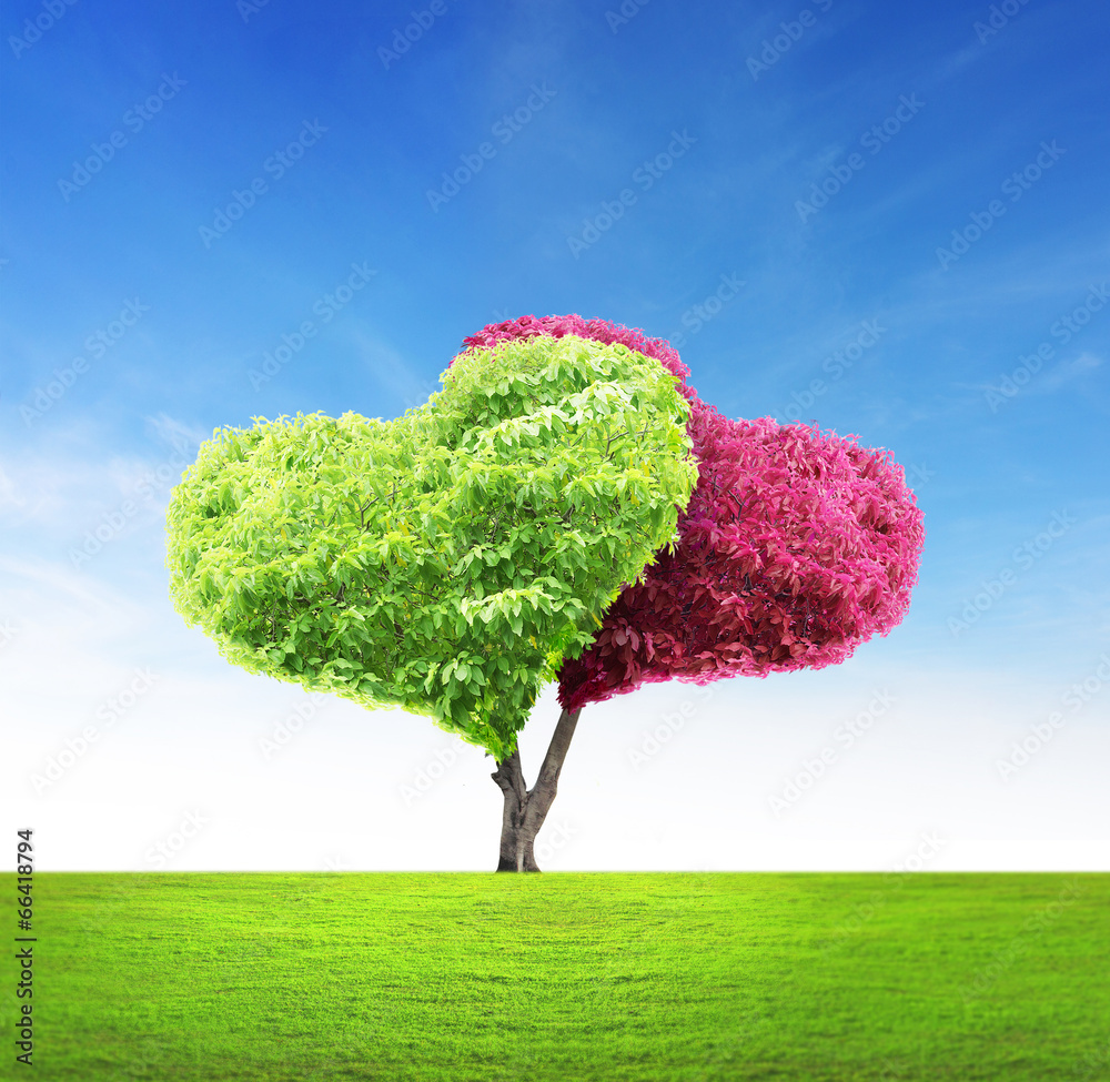 Wall mural tree in shape of heart