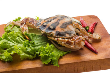 Red crab