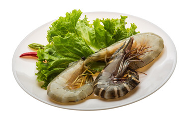 King and waterleg shrimps