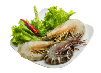 King and waterleg shrimps