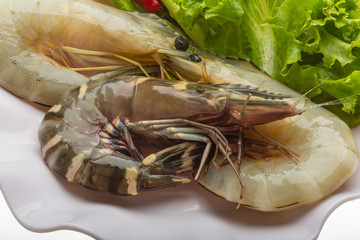 King and waterleg shrimps