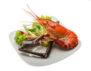 Giant Freshwater Prawn