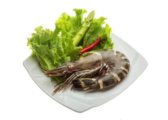 Tiger prawn