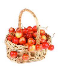 Sweet Cherry