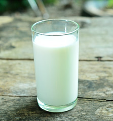 Glass of milk on nature background