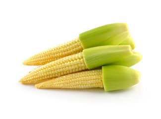 baby corn isolated on white background