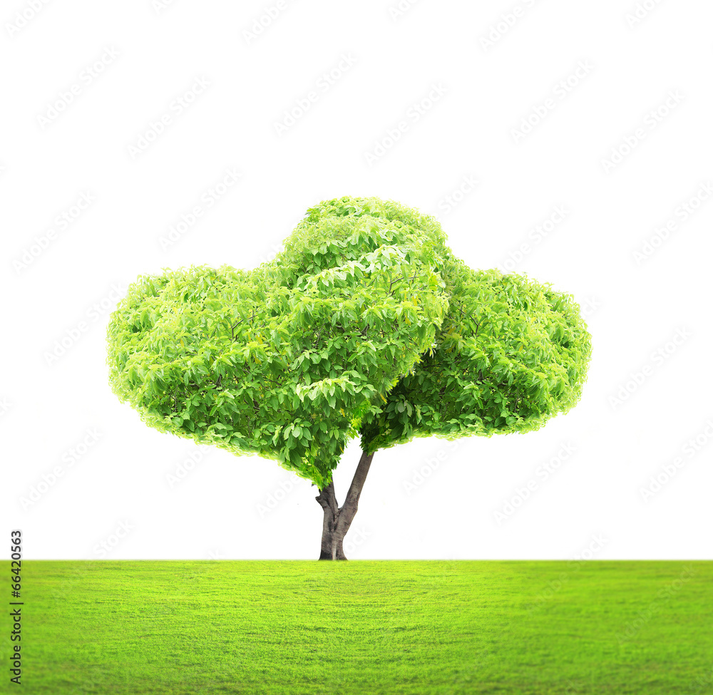 Wall mural tree in shape of heart