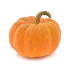 ripe pumpkin isolated on white background