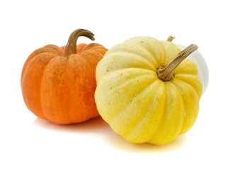 Fresh yellow pumpkin,white pumpkin and orange pumpkin isolated o
