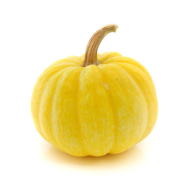 Yellow Pumpkin