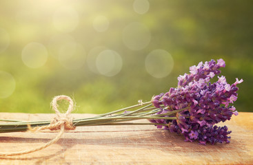 Lavender