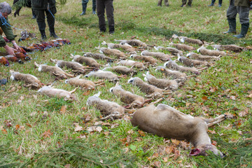 excludes of caught animals