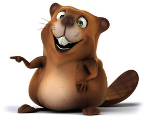 Beaver © Julien Tromeur