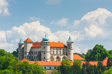Obraz premium View of Nowy Wisnicz castle, Poland