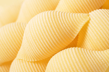 Conchiglie (Seashell Shaped) Pasta , background.
