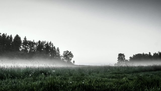 Nebel auf der Wiese / Wolken &uuml;ber Feld - Zeitraffer Timelapse