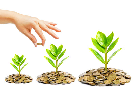 Hand Giving A Golden Coin To A Tree Growing On Coins