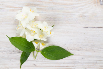 jasmine flowers on wooden surface