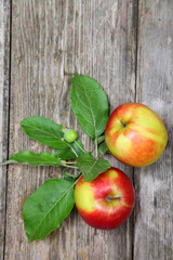 Fresh apples