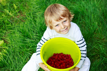 Happy little toddler boy on pick a berry farm picking strawberri