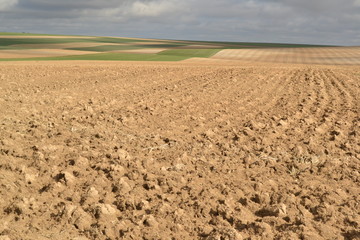 Labour en Champagne