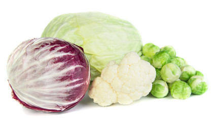 cabbage
