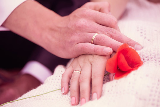 wedding couple hands with rings and wild poppy flower