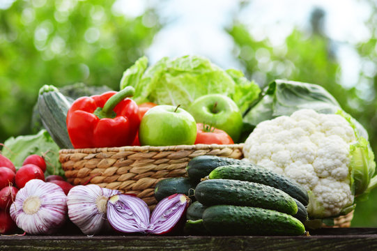 Fresh organic vegetables in wicker basket in the garden