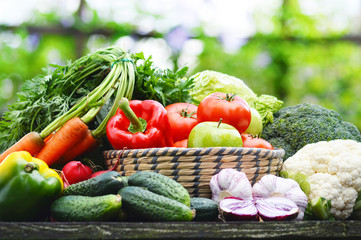 Fresh organic vegetables in wicker basket in the garden