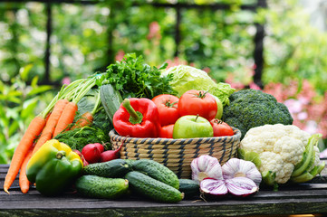Fresh organic vegetables in wicker basket in the garden