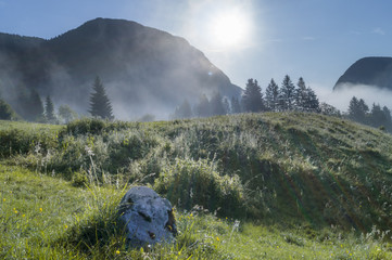 zamglona łąka górska w Alpach ,Słowenia