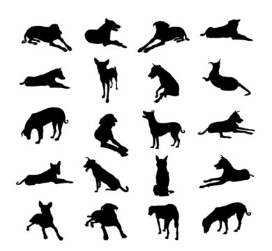 Dogs Silhouette Set-Vector