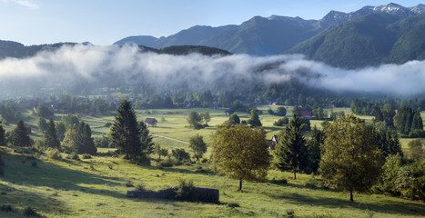 Alpine meadow in the morning fog