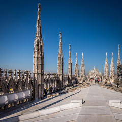 Fototapeta premium Duomo Milan - taras