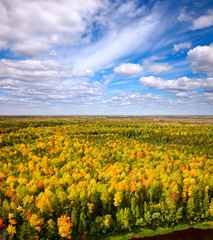 Fototapeta premium Top view of forest in autumn.