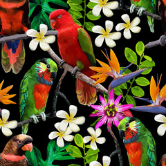 exotic birds and beautiful flowers