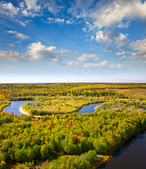 Top view of the forest river in autumn