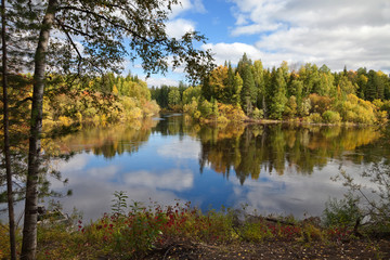 Fototapeta na wymiar Forest lake in autumn