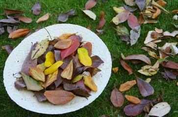 chapeau de feuilles mortes en automne