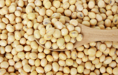 soy bean pattern as background