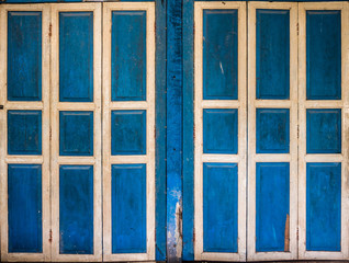 Vintage wooden doors