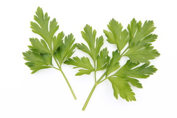 Parsley